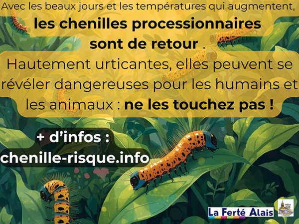 chenilles_process2026.jpg