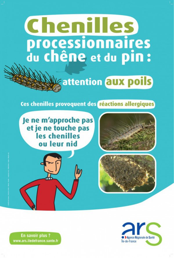 CHENILLE.jpg